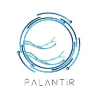 PALANTIR_logo